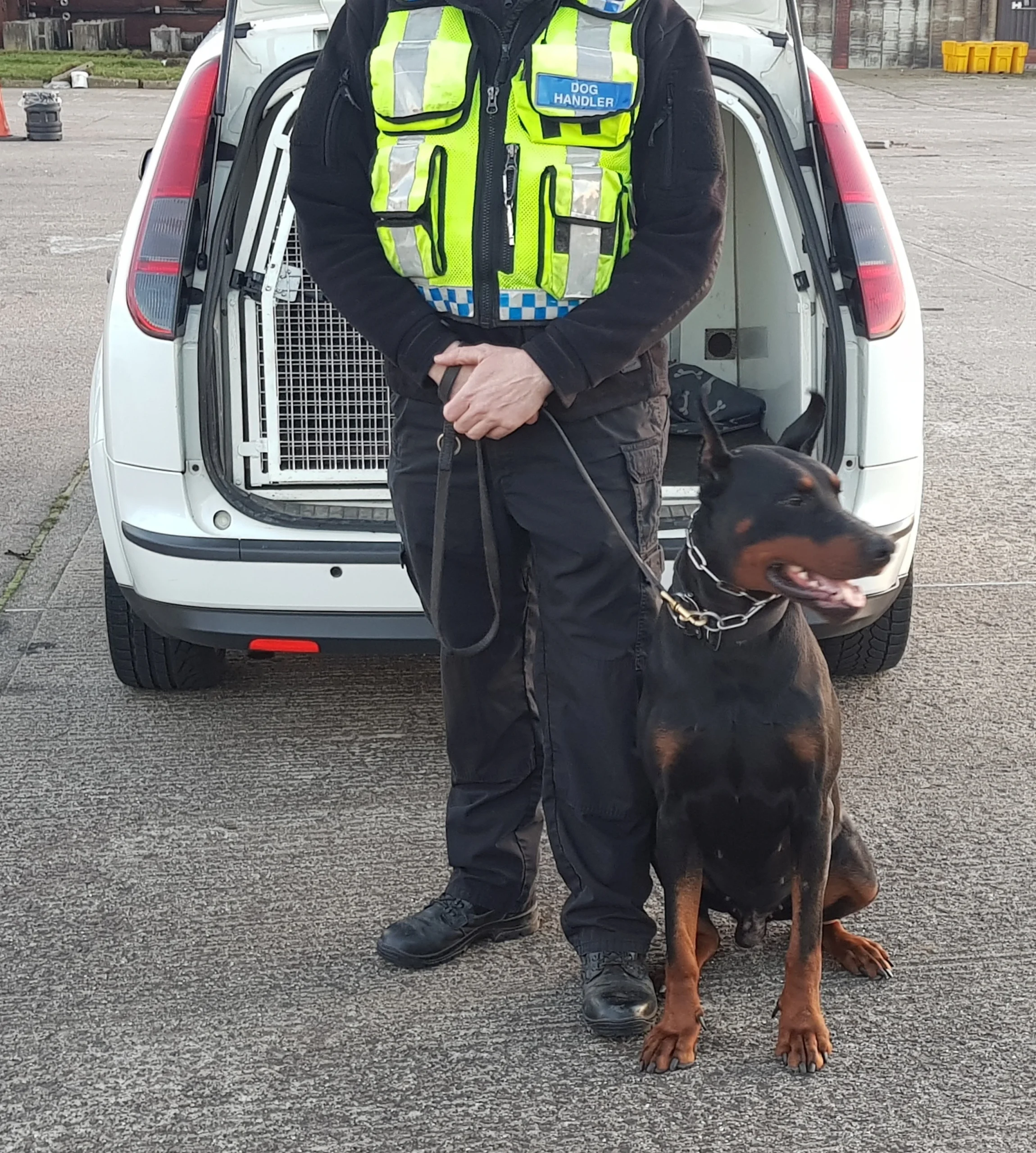 Elite K9 Security Units Prevent Major High-Value Vehicle Theft Operations
